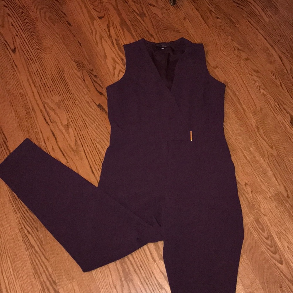 The Limited - plum colored jumpsuit
